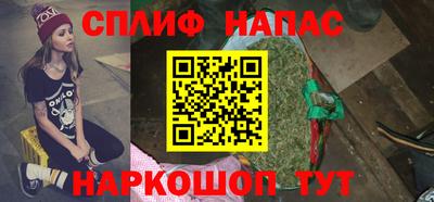 хмурый Гатчина