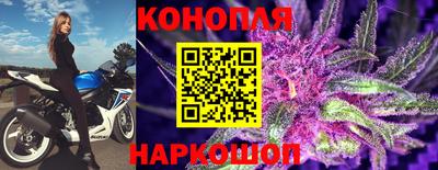 хмурый Гатчина