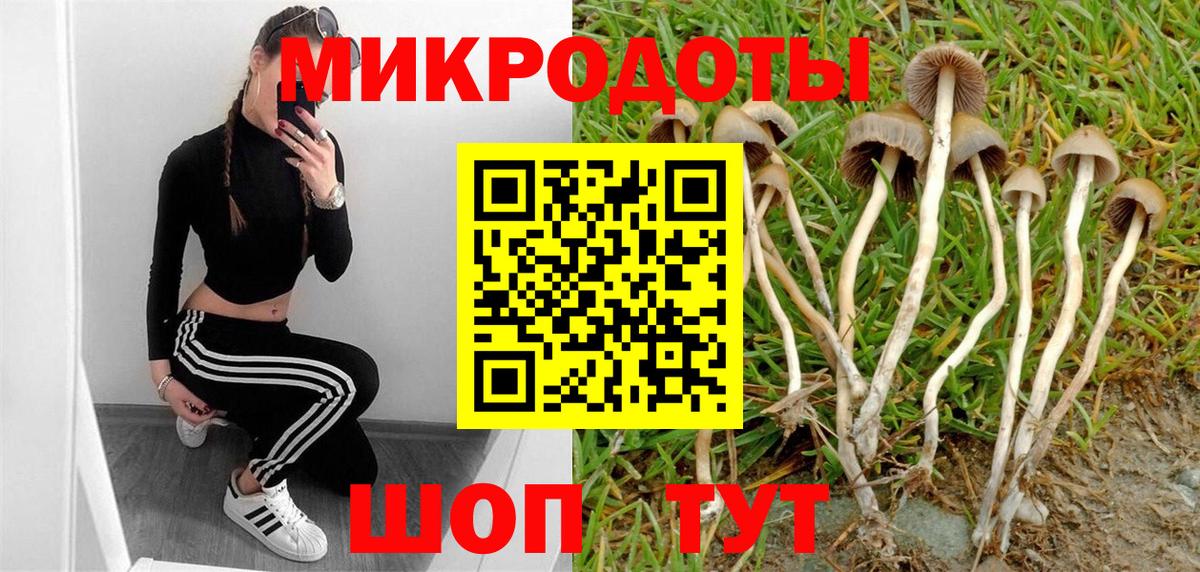 Псилоцибиновые грибы GOLDEN TEACHER Самара