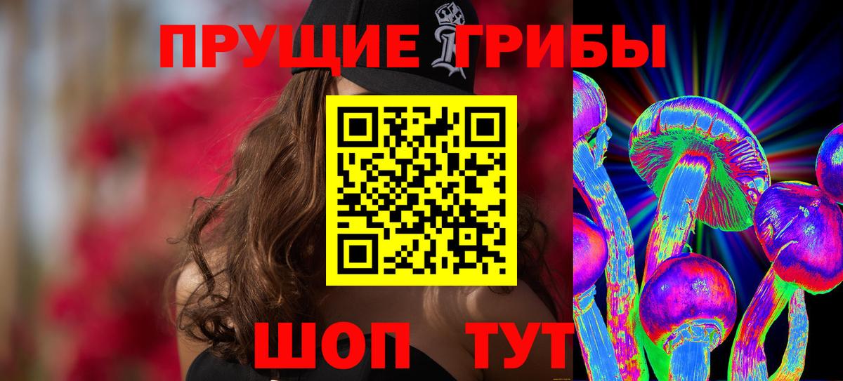 Псилоцибиновые грибы Psilocybe  Галлюциногенные грибы прущие грибы  Вход с VPN  Самара 